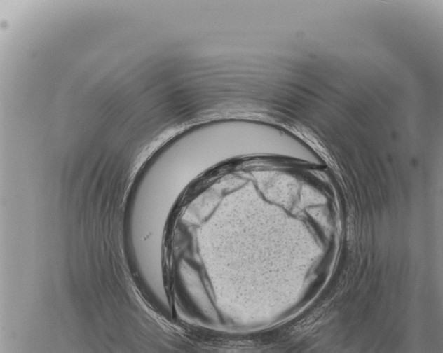 X0000061110438200512091821