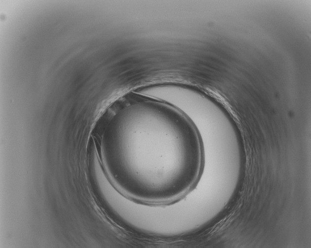 X0000061110439200512091821