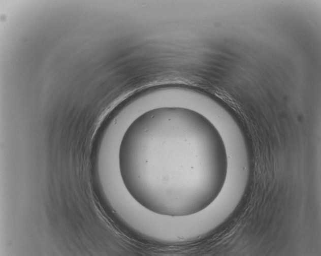 X0000061110440200512091821