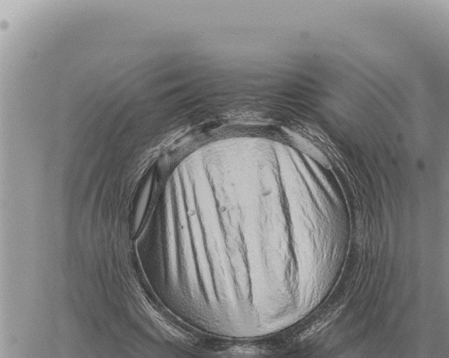 X0000061110441200512091821