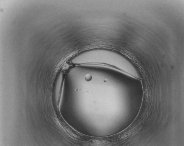 X0000061110442200512091821