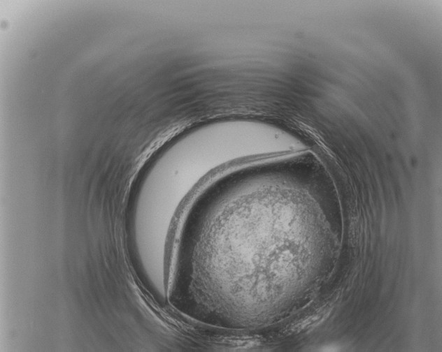 X0000061110443200512091821