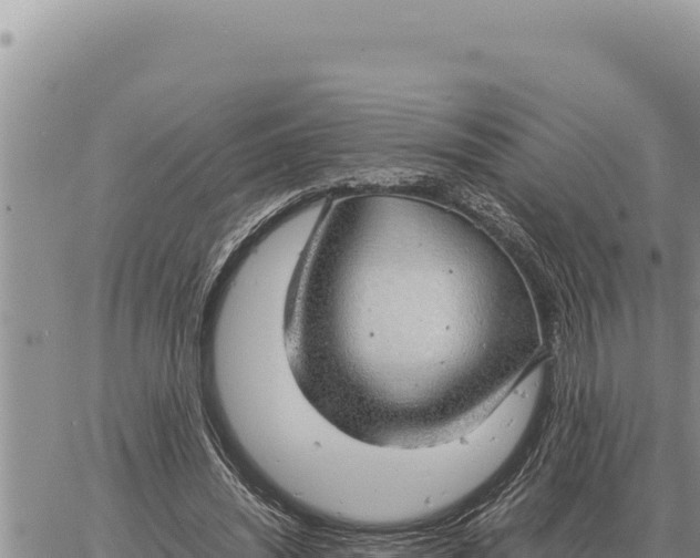 X0000061110444200512091821