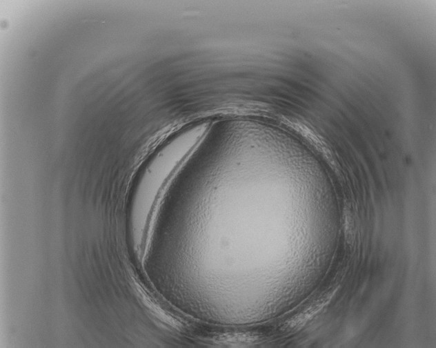 X0000061110445200512091821