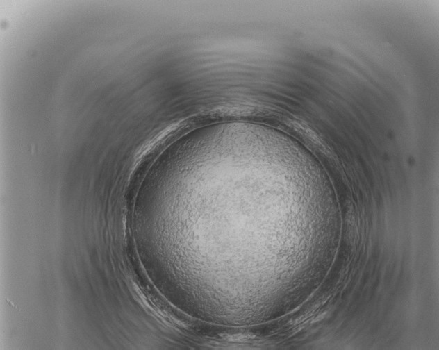 X0000061110446200512091821