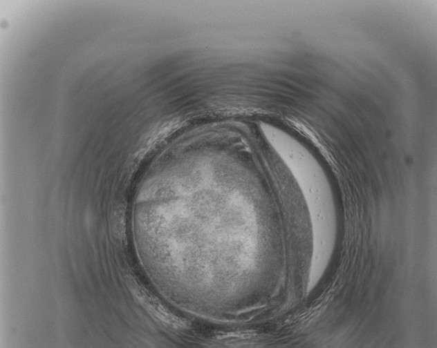 X0000061110447200512091821