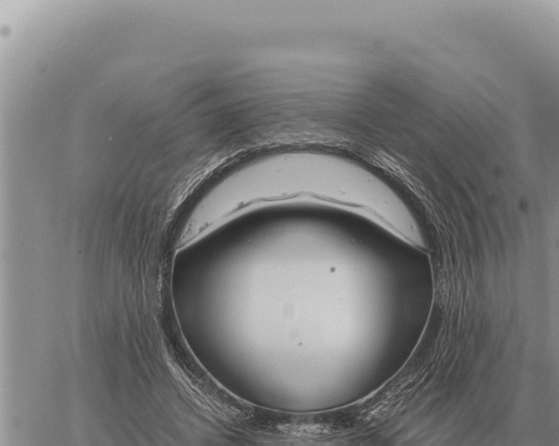 X0000061110448200512091821