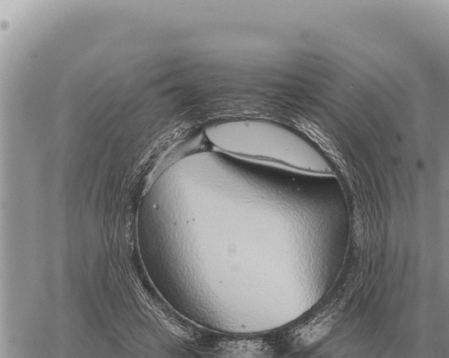 X0000061110449200512091821