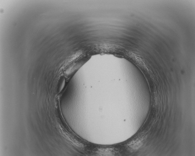 X0000061110450200512091821