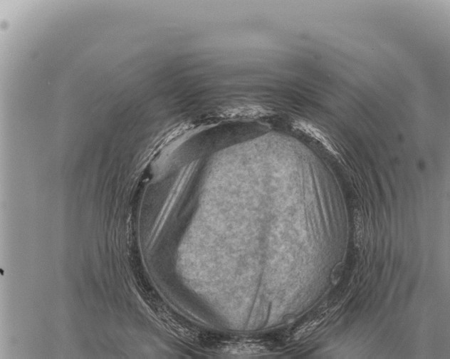 X0000061110451200512091821