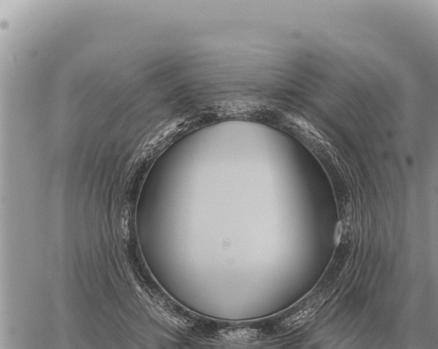 X0000061110452200512091821