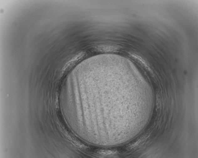 X0000061110453200512091821