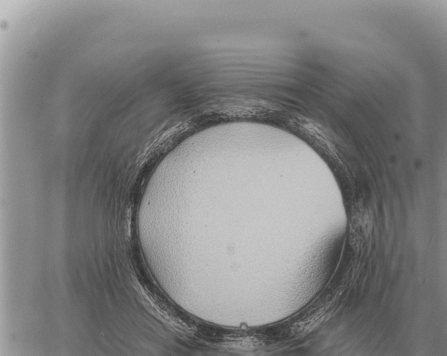 X0000061110454200512091821