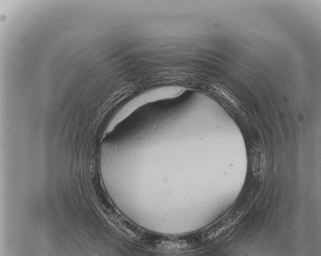 X0000061110455200512091821