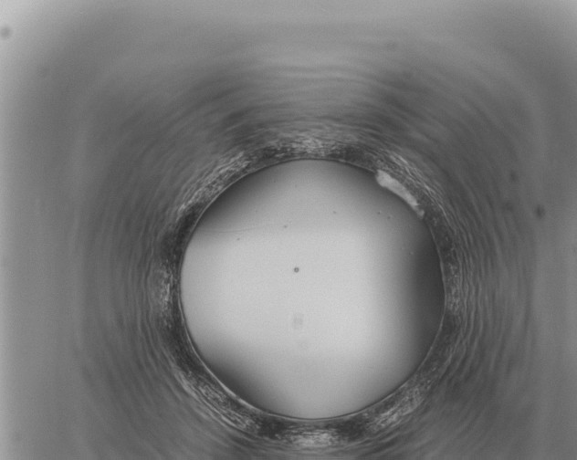 X0000061110456200512091821