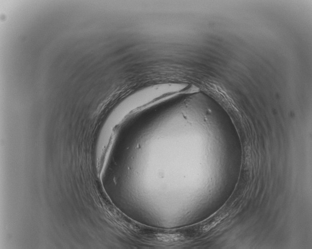 X0000061110457200512091821