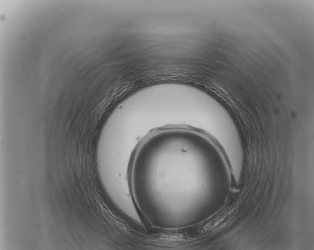 X0000061110458200512091821