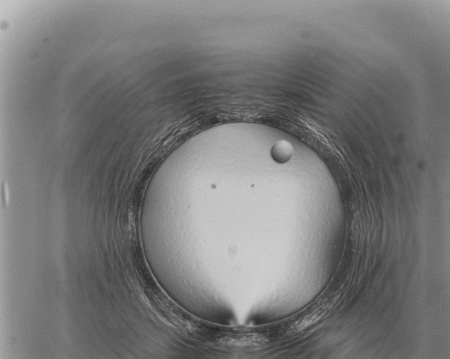 X0000061110459200512091821