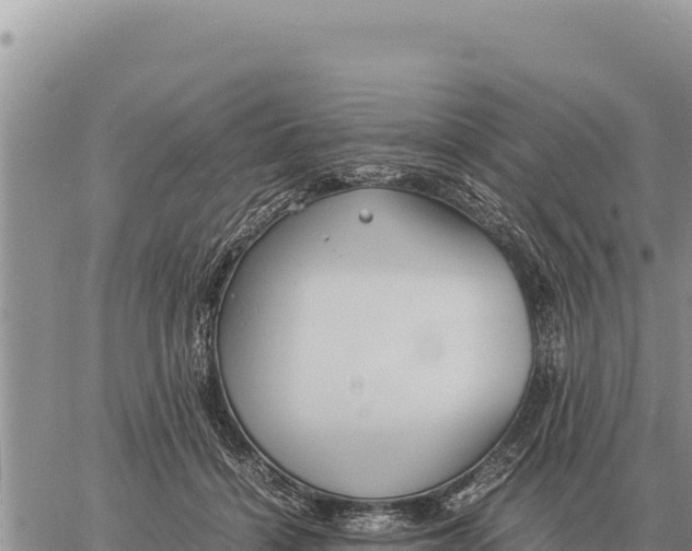 X0000061110460200512091821