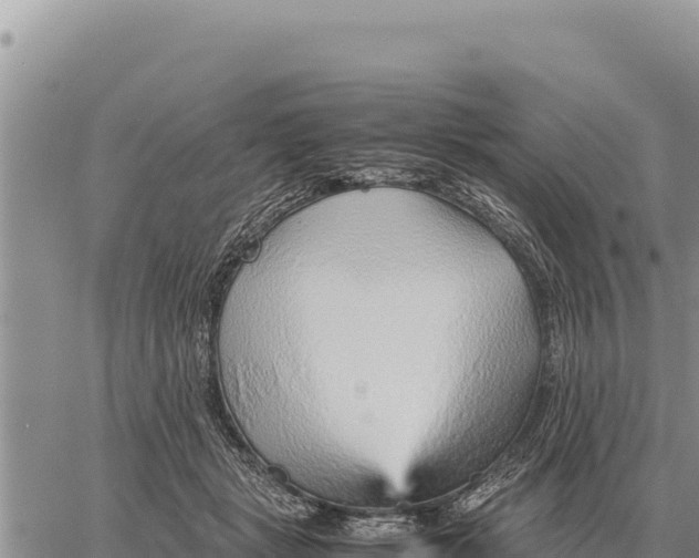 X0000061110461200512091821