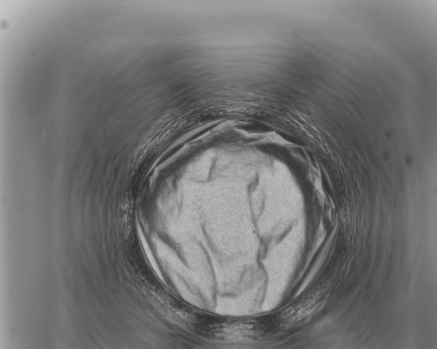 X0000061110462200512091821