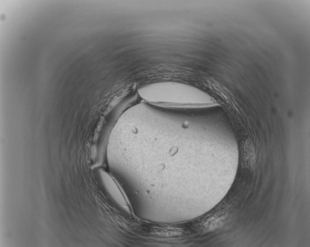 X0000061110463200512091821