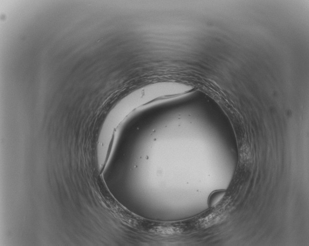 X0000061110464200512091821