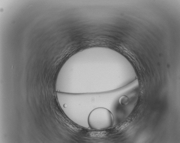 X0000061110465200512091822