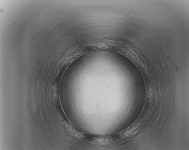 X0000061110466200512091822