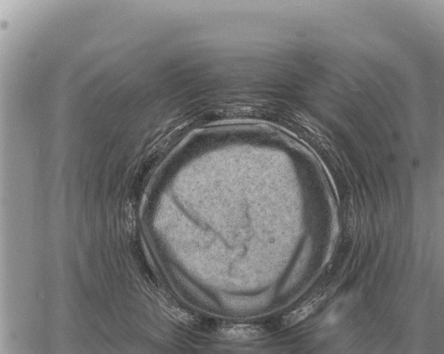 X0000061110467200512091822