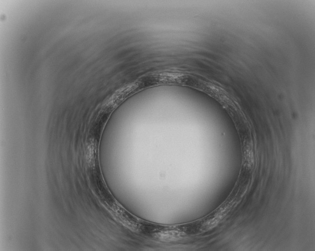 X0000061110468200512091822