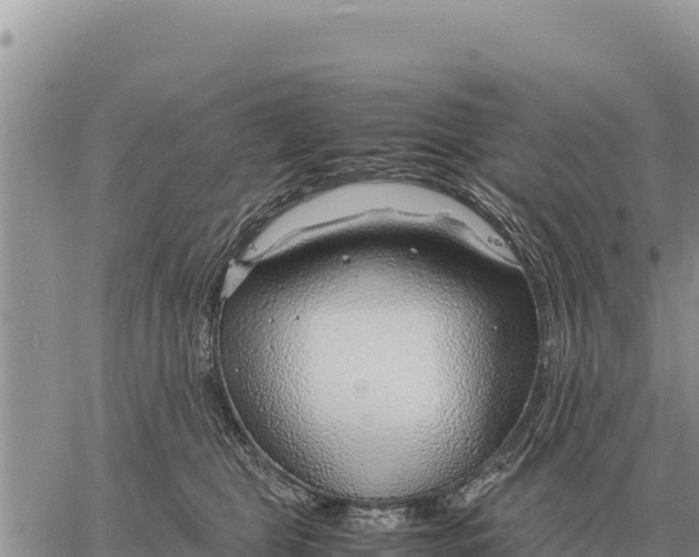 X0000061110469200512091822