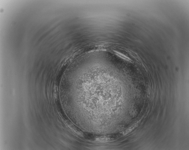 X0000061110470200512091822