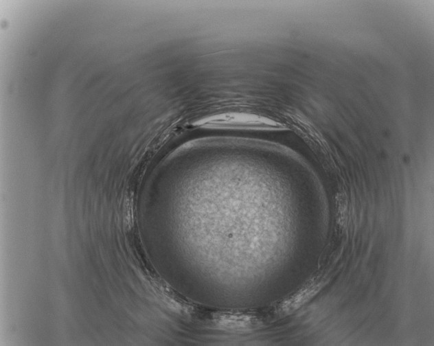 X0000061110471200512091822