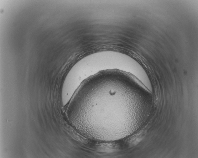 X0000061110473200512091822