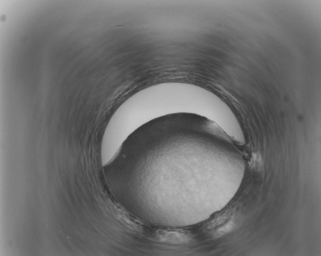 X0000061110475200512091822