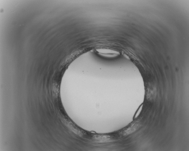 X0000061110476200512091822