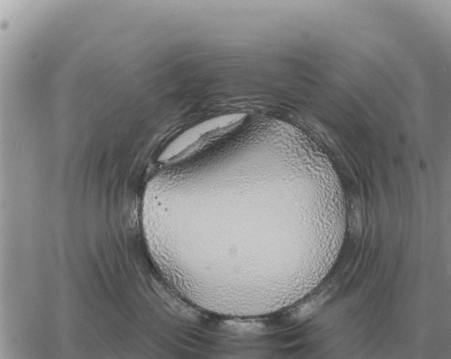 X0000061110477200512091822