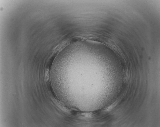 X0000061110478200512091822