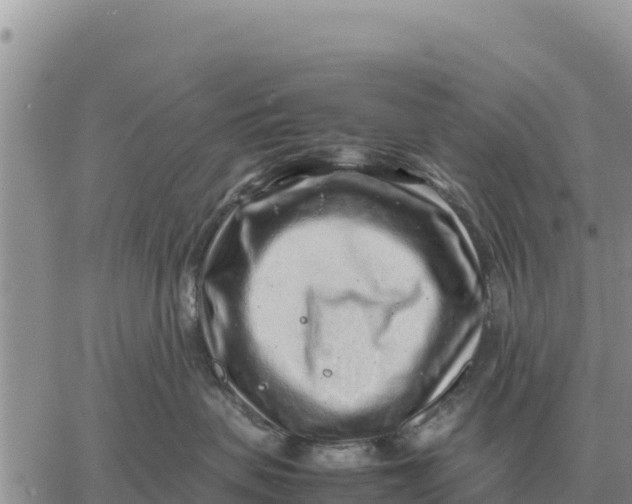 X0000061110479200512091822