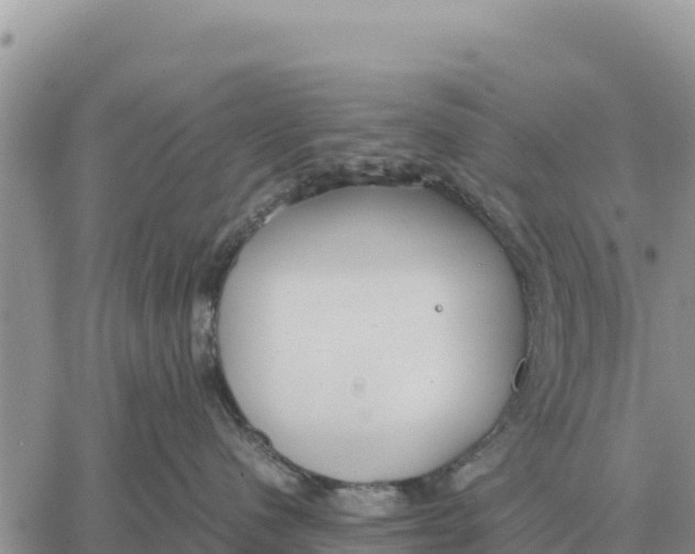 X0000061110480200512091822