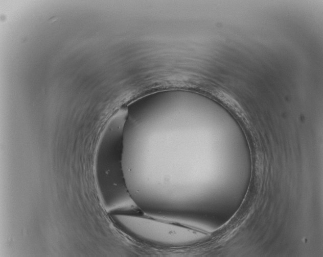 X0000061110481200512091821