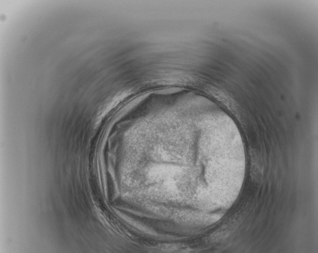 X0000061110482200512091821