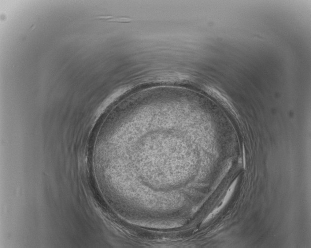 X0000061110483200512091821