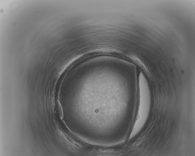 X0000061110484200512091821