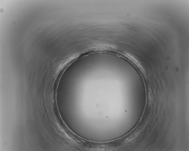 X0000061110485200512091821