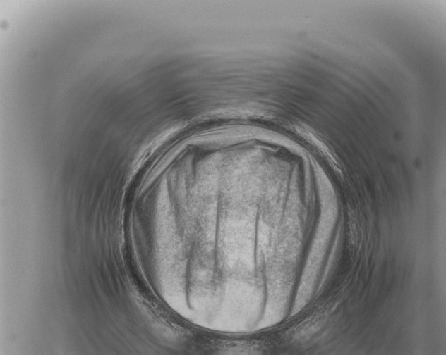 X0000061110486200512091821