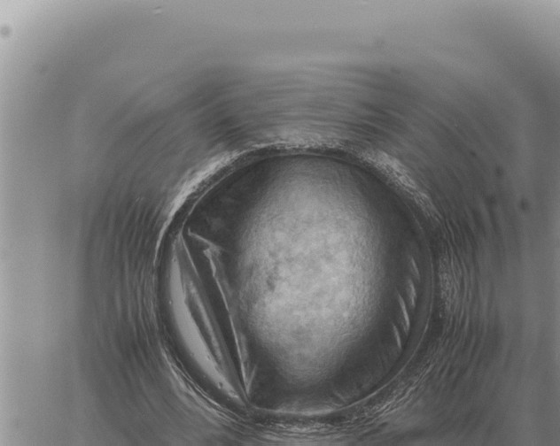 X0000061110488200512091821