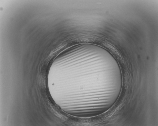 X0000061110489200512091821