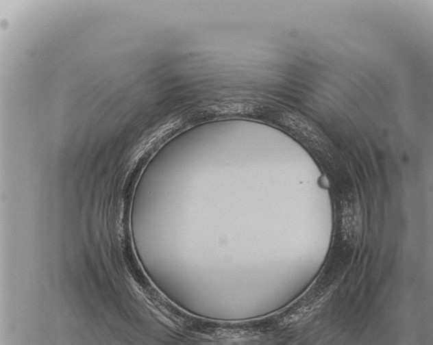 X0000061110490200512091821